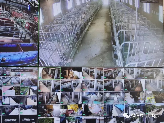 金控平涼擔保助力小微解困促發展